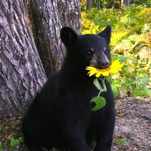 Meet your Posher, Kat